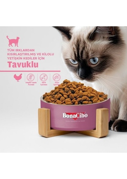 Kısırlaştırılmış Kedi Maması 5 kg fırsatları