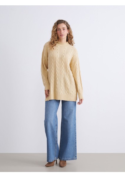 Yeni Sezon Dik Yaka Kendinden Desenli Kadın Triko Tunik fiyatları