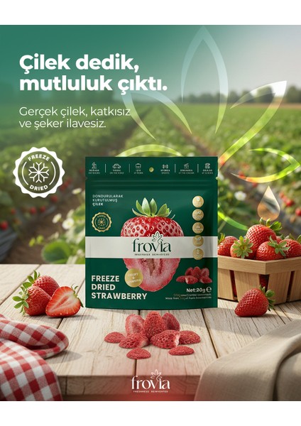 Dondurularak Kurutulmuş Çilek 20G – Katkısız Doğal Atıştırmalık