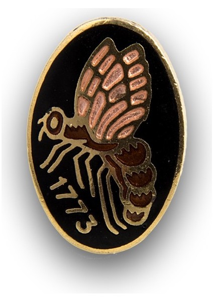 İTÜ Rozet Mineli Siyah Arı Büyük modelleri