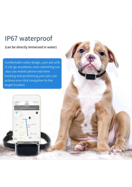 Akıllı Gps Su Geçirmez Pet Bulucu Yakası Pet Köpek Gps Tracker Bulucu IP67 ile Gerçek Zamanlı Izleme Pet Için (Yurt Dışından) fiyatları
