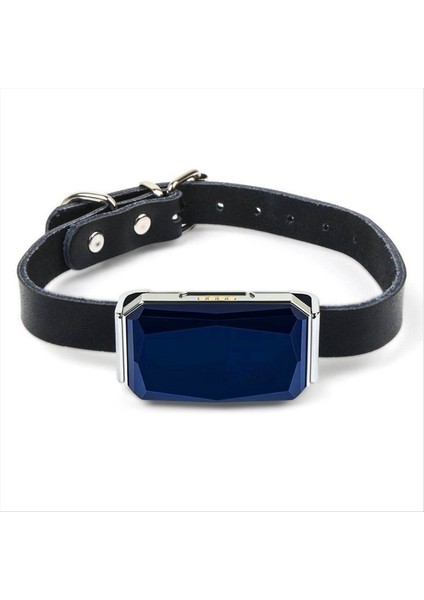 Akıllı Gps Su Geçirmez Pet Bulucu Yakası Pet Köpek Gps Tracker Bulucu IP67 ile Gerçek Zamanlı Izleme Pet Için (Yurt Dışından) fırsatları
