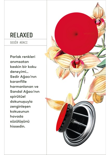 Araba Klima Kokusu, Spin Oto Kokusu 6'lı Karma Set, 90 Gün Etkili Araç Kokusu