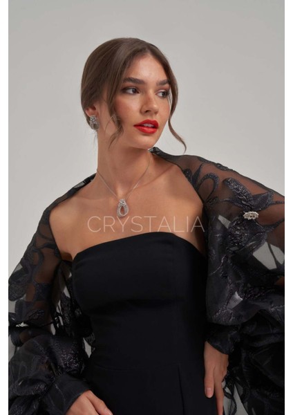 Taş Işlemeli Desenli Organze Şal Balık Elbise fiyatları