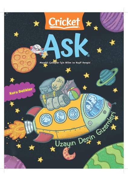 Crıcket Ask Sayı 4