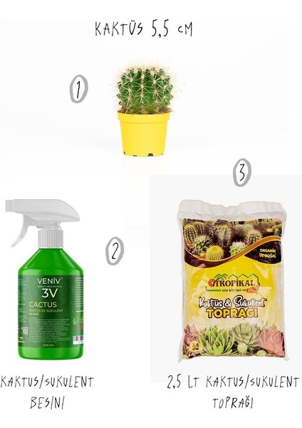 3'lü Set - Kaktüs 5,5 cm - Kaktüs/sukulent Besini - Kaktüs/sukulent Toprağı 2,5 Lt