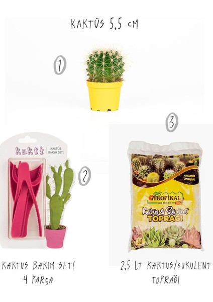 3'lü Set – Kaktüs 5,5 cm – Kaktüs Bakım Seti 4 Parça – Toprak 2,5 Lt