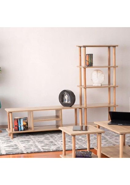 Pia Kitaplıklı Tv Sehpası Ceviz fiyatları