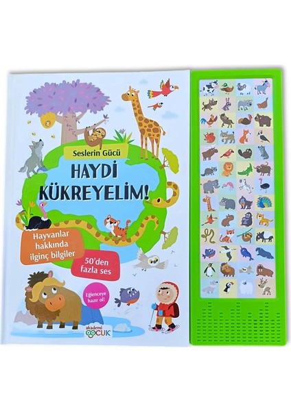 Seslerin Gücü: Haydi Kükreyelim! - Hayvanlar Hakkında İlginç Bilgiler (Dev Boyut Sesli Kitap + 50'den Fazla Hayvan Sesi)