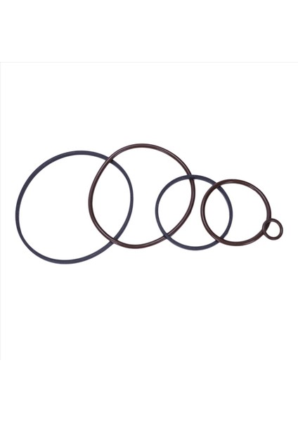 2x 11361440142 Cout O-Rıng&#39 Ler Bmw Vanos M52TU M54 M56 Ptfe Çıngırak Halka Onarım Yükseltme Kiti (Yurt Dışından) modelleri