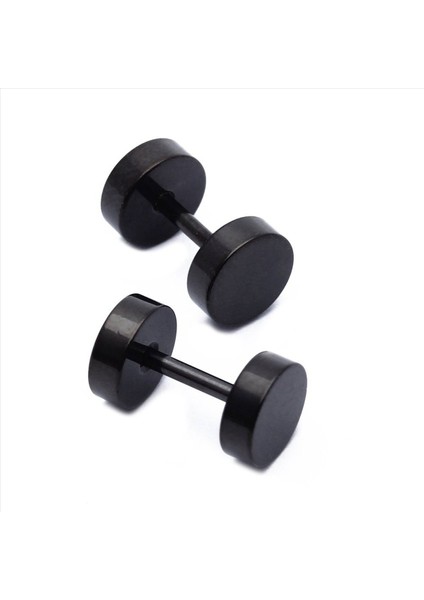 2 Çift Erkek Halter Paslanmaz Çelik Kulak Saplama Küpeleri Siyah 6mm (Yurt Dışından) fiyatları