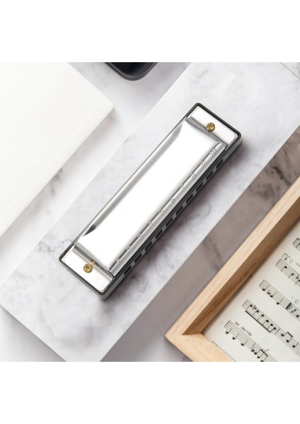 10 Delik Blues Mızıka Müzik Aleti Çocuklar Için Paslanmaz Çelik Ağız Organı (Yurt Dışından) fiyatları