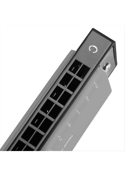 Profesyonel 24 Delik C Yeni Başlayanlar Için Anahtar Mızıka Çocuklar Gelişmiş Mızıka Enstrümanı Performans Için Ağır Sesle (Yurt Dışından) modelleri