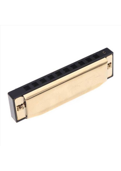 2x Swan Mızıka 10 Delikli C Case Blues Harp Metal Steel ile C Gold Anahtarı Yeni (Yurt Dışından) indirimleri