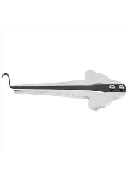 Çelik Taşınabilir Çene Arp Yahudiler Harp Altay Etnik Ağız Rus Müzik Aleti Mızıka Başlangıç Çocuk Hediyeleri A (Yurt Dışından) modelleri