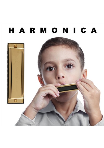 Swan Mızıka 10 Delik C Vasal ile C Gold Anahtarı Harp Metal Çelik Yeni (Yurt Dışından) fırsatları