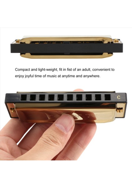 Swan Mızıka 10 Delik C Vasal ile C Gold Anahtarı Harp Metal Çelik Yeni (Yurt Dışından) indirimleri