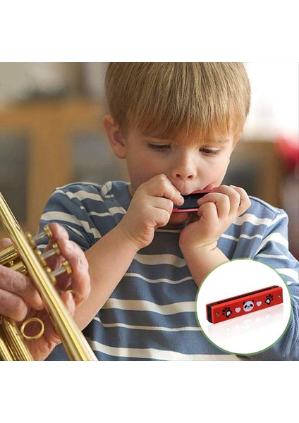 Çocuk Mızıka 4 Diyatonik Mızıka Paketi Yeni Başlayanlar Için Ahşap Müzik Aleti Profesyoneller Öğrenciler (Yurt Dışından) indirimleri