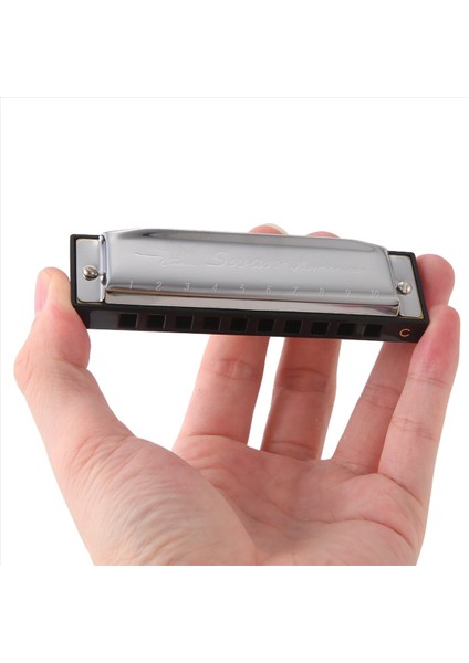 Swan Mızıka 10 Delik C Silver W/ Kasa Blues Arp Paslanmaz Çelik Yeni (Yurt Dışından)