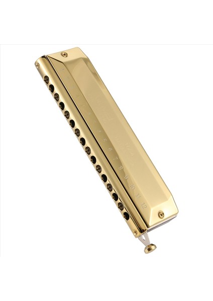 Qi Mei Kromatik Mızıka 16 Delik 64 Ton Ağız Organ Enstrümantos C Profesyonel Müzik Aletlerinin Anahtarı (Yurt Dışından) fiyatları