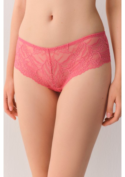 Tender Leaves Yüksek Bel Dantelli Slip Külot