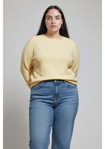 Regular Fit Bisiklet Yaka Triko Kazak F7091AZ25WN