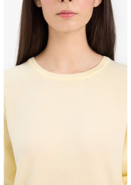 Regular Fit Bisiklet Yaka Triko Kazak F7091AZ25WN indirimleri