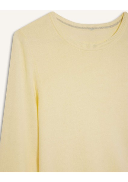 Regular Fit Bisiklet Yaka Triko Kazak F7091AZ25WN