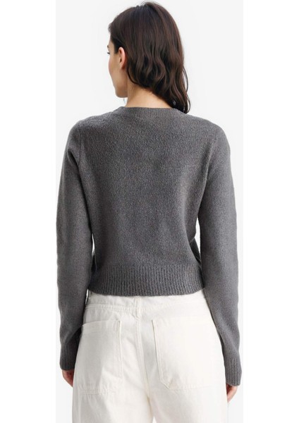 Slim Fit Dar Kesim Bisiklet Yaka Düğmeli Triko Hırka E8236AX25WN modelleri