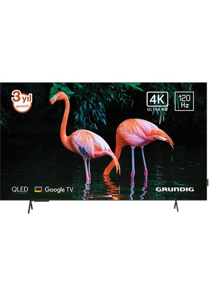 55GO975A 55'' 139 Ekran Uydu Alıcılı 4K Ultra HD Google Smart OLED TV