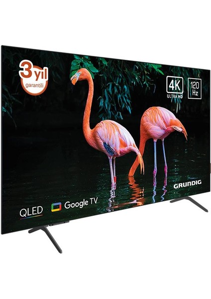 55GO975A 55'' 139 Ekran Uydu Alıcılı 4K Ultra HD Google Smart OLED TV fiyatları
