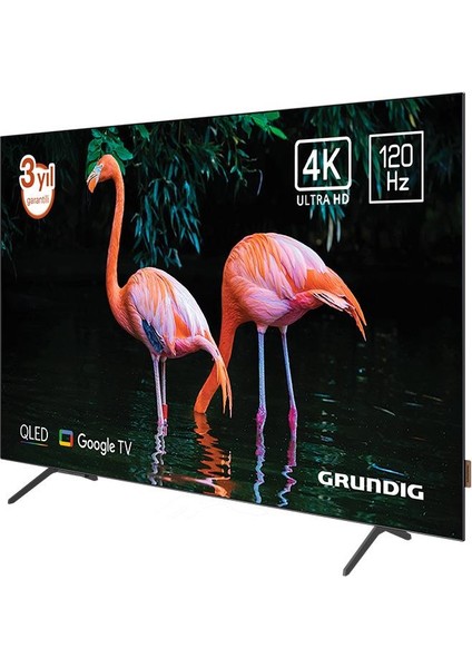 55GO975A 55'' 139 Ekran Uydu Alıcılı 4K Ultra HD Google Smart OLED TV modelleri