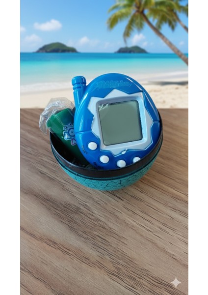 Eğitici Oyuncak fiyatları