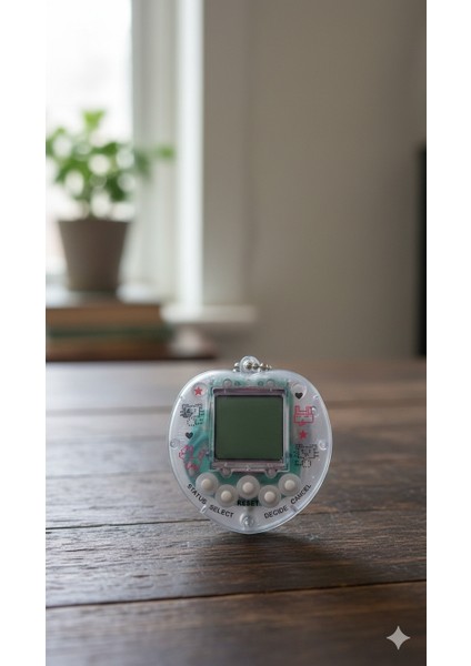 Eğitici fırsatları