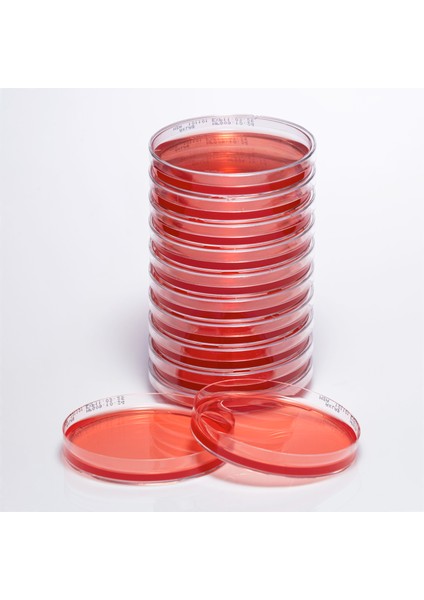 Hazır Mannitol Salt Besiyeri - 1 Paket (10 Adet)