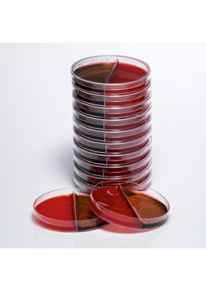 Hazır Koyun Kanlı + Emb Besiyeri - 1 Paket (10 Adet)