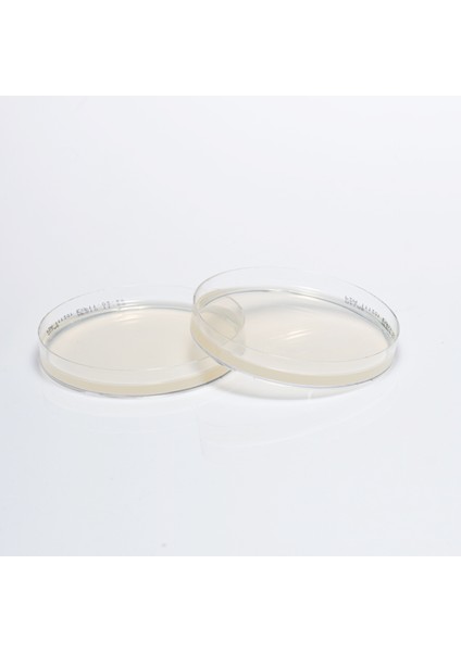 Hazır Plate Count Besiyeri - 1 Paket (10 Adet)