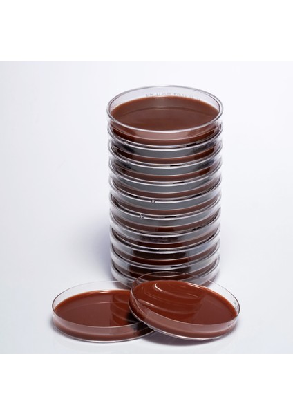 Hazır Thayer Martin Besiyeri - 1 Paket (10 Adet)