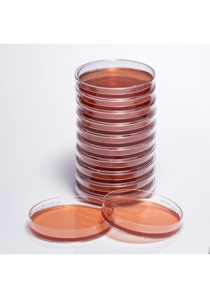 Hazır Ss (Salmonella Shigella) Besiyeri - 1 Paket (10 Adet)