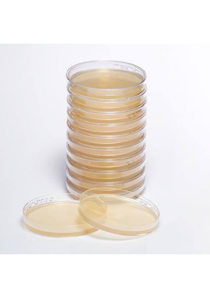 Hazır Chromogenic Kpc Besiyeri - 1 Paket (10 Adet)