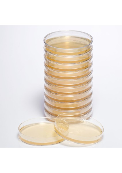 Hazır Triptic Soy Besiyeri - 1 Paket (10 Adet)