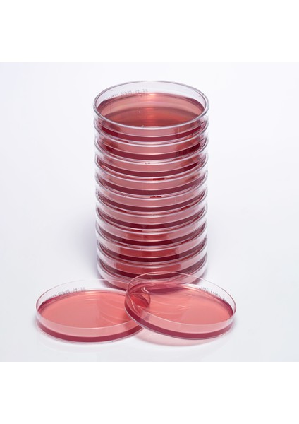 Hazır Macconkey Besiyeri - 1 Paket (10 Adet)