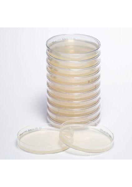 Hazır Potato Dextrose Besiyeri - 1 Paket (10 Adet)