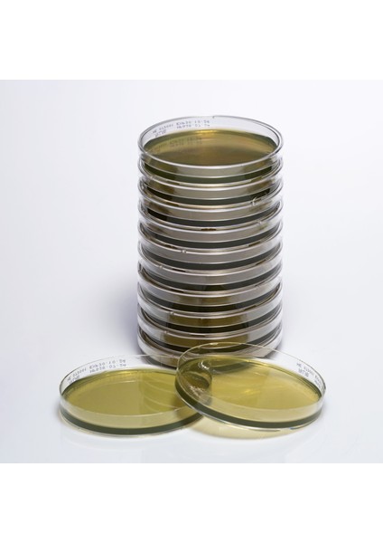 Hazır Hekteon Enteric Besiyeri - 1 Paket (10 Adet)