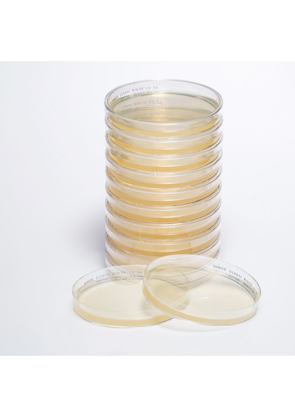 Hazır Dnase Besiyeri - 1 Paket (10 Adet)