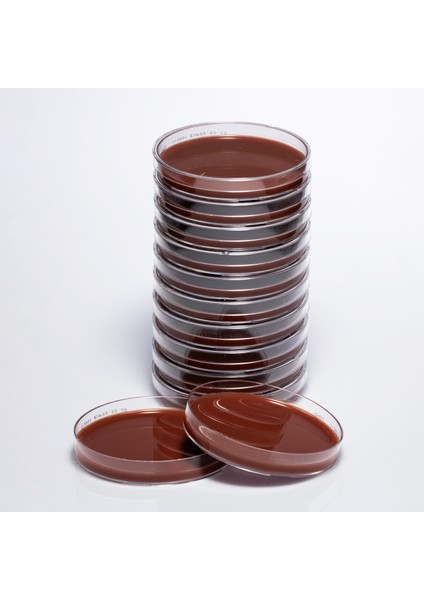 Hazır Chocolate (Çikolata) Besiyeri - 1 Paket (10 Adet)