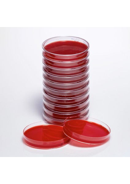 Hazır Koyun Kanlı Besiyeri - 1 Paket (10 Adet)