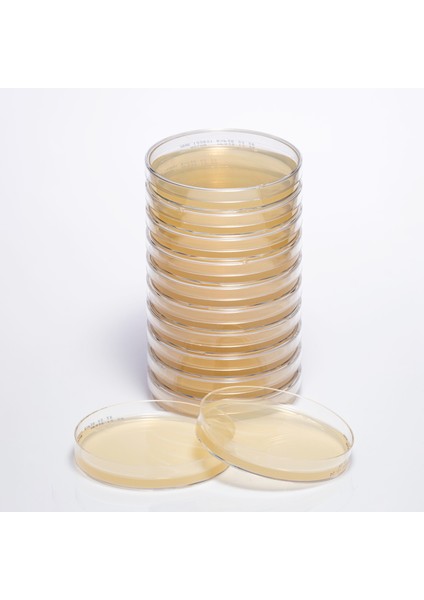 Hazır Mueller Hınton Besiyeri (90 Mm'lik Petri) - 1 Paket (10 Adet)