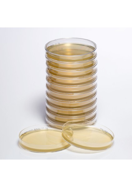 Hazır Sda + Gentamicin + Chloramphenicol Besiyeri - 1 Paket (10 Adet)