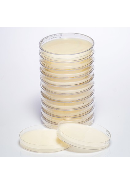 Hazır Chromogenic Vre Besiyeri - 1 Paket (10 Adet)